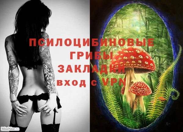PSILOCYBIN Зерноград