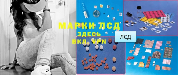 PSILOCYBIN Зерноград